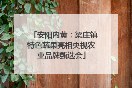 安阳内黄：梁庄镇特色蔬果亮相央视农业品牌甄选会